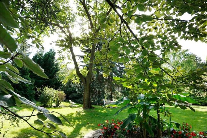 Property Grounds 40 of 52