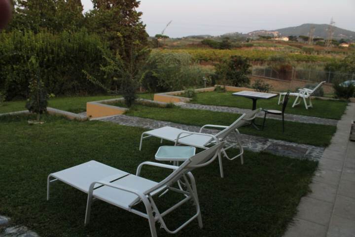 Terrace/Patio 15 of 43