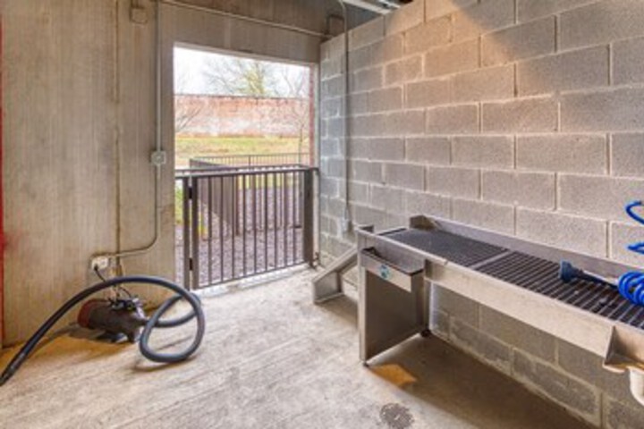 Pet Friendly 166 of 283