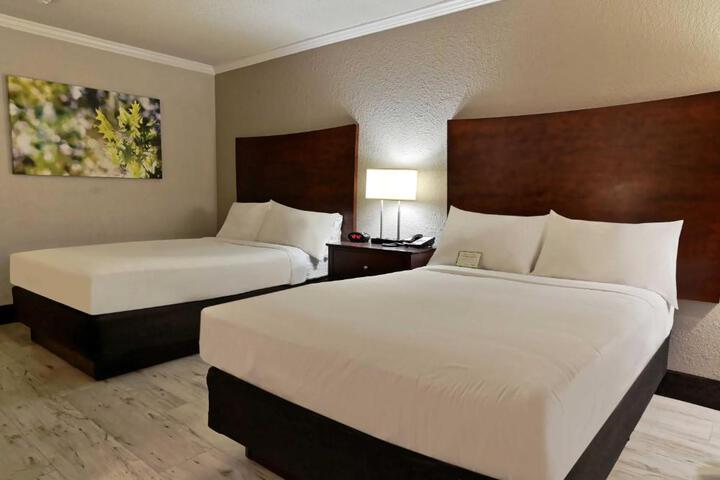 Double Accessible King Size Bed (8 of 10)