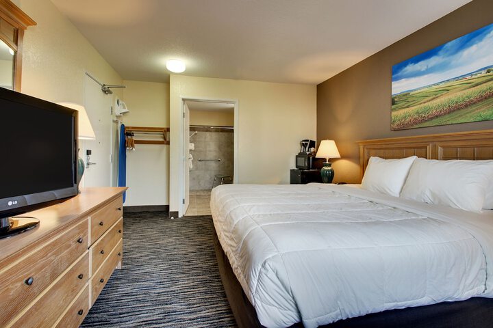 1 King Bed Accessible (8 of 13)