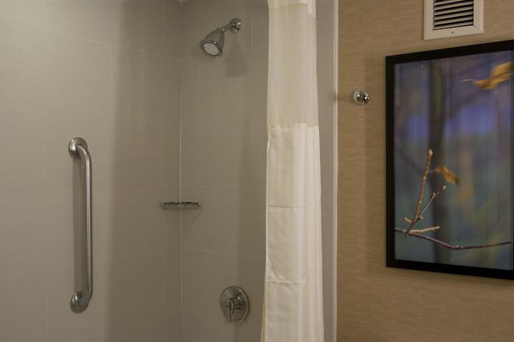 1 King Mobility Accessible with Bathtub (8 of 19)