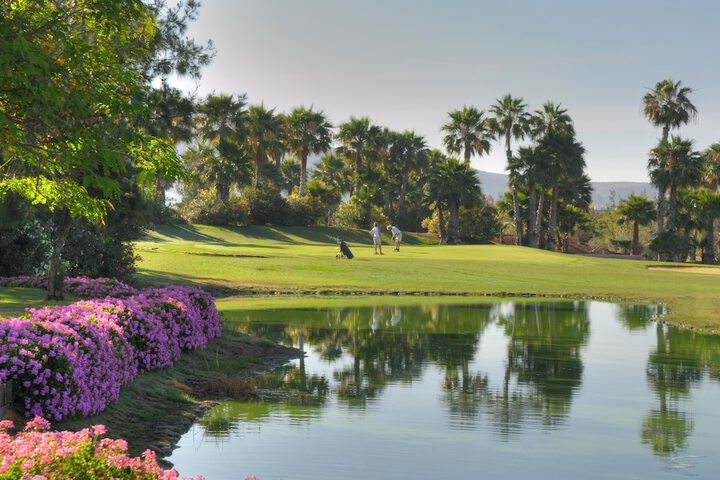 Golf 18 of 31