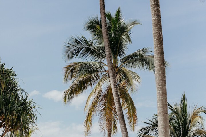 Beach 42 of 55