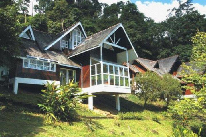 Photo 21