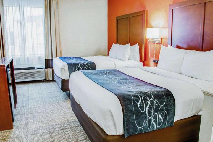 1 King Bed Suite (2 of 13)