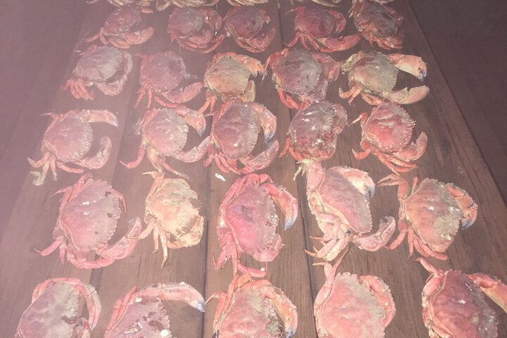 Outdoor Activities 22 of 51