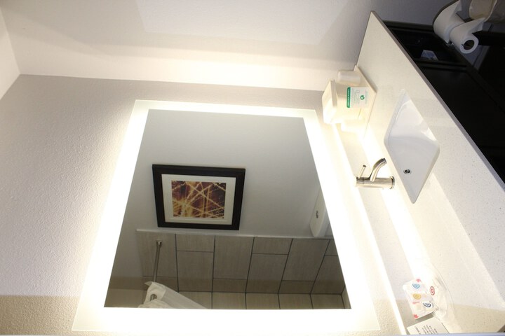 1 King Bed Suite (16 of 21)