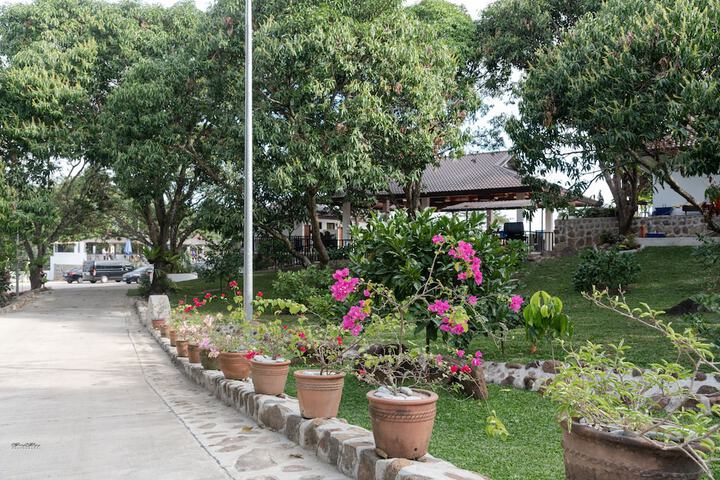 Hotel Exterior 56 of 69