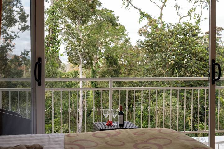 View from room
