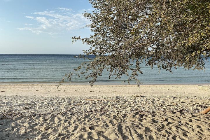 Beach 74 of 88