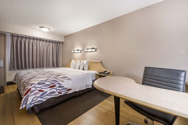 Standard | King Bed (3 of 18)