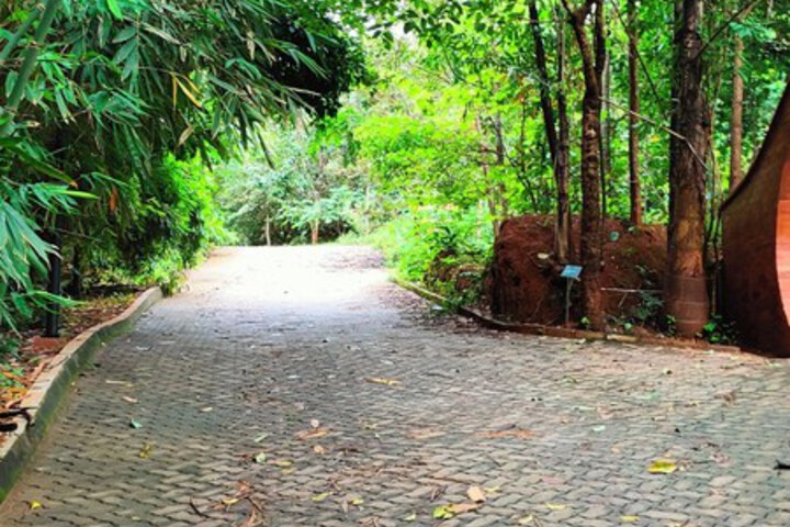 Outdoor Activities 18 of 26