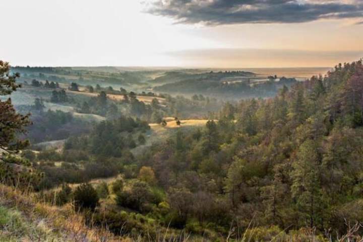 Outdoor Activities 31 of 126