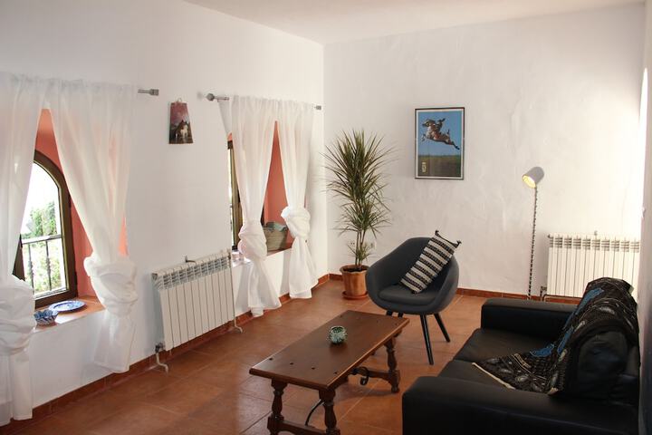 Room 15 of 47
