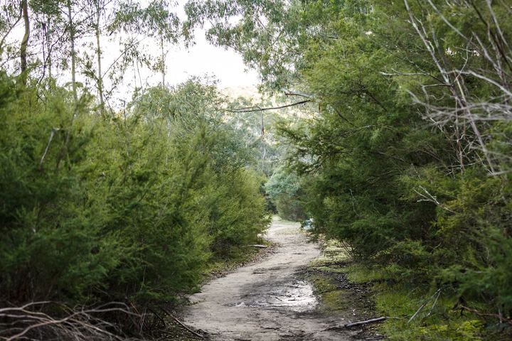 Hiking
