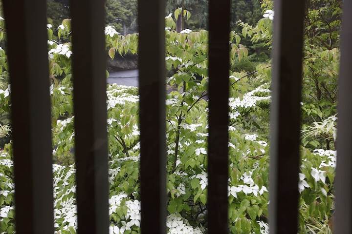 Amenity Photo