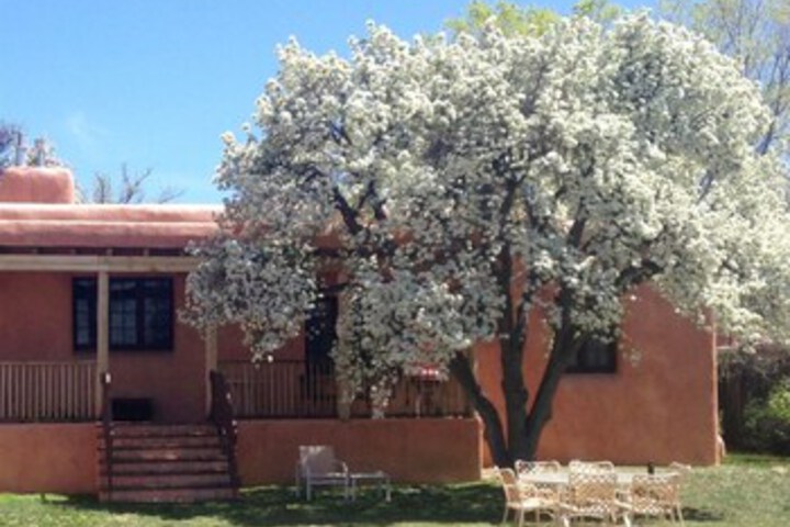 General 8 of 44