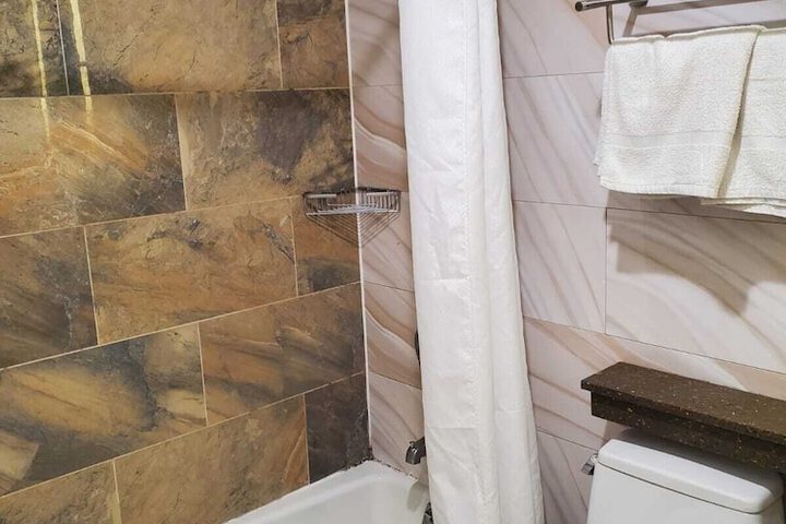 1 King Bed Accessible (3 of 8)