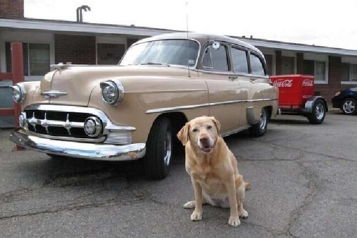 Pet Friendly 28 of 39