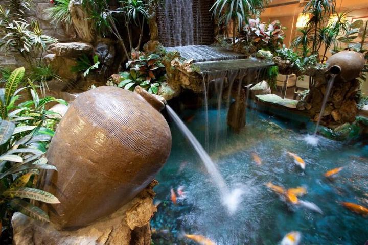 Wellness Treatments