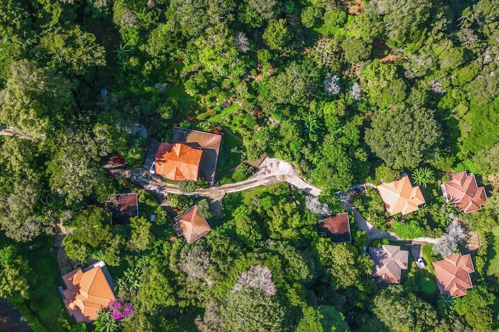 Photo of Coffee Estate Inn