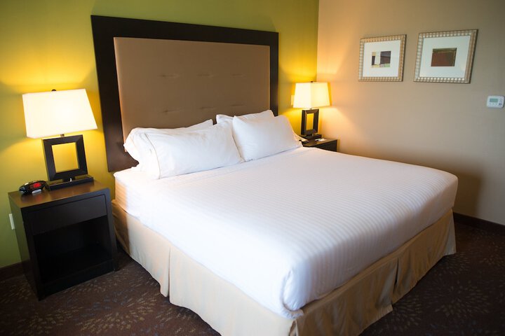 1 King Bed Standard Comm Accessible (3 of 14)