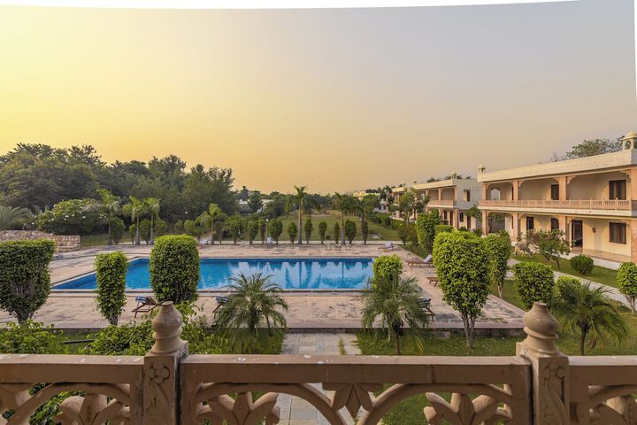 Ginger RanthamboreSawai Madhopur