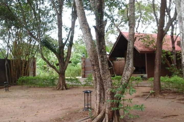 Elephant Safari Hotel