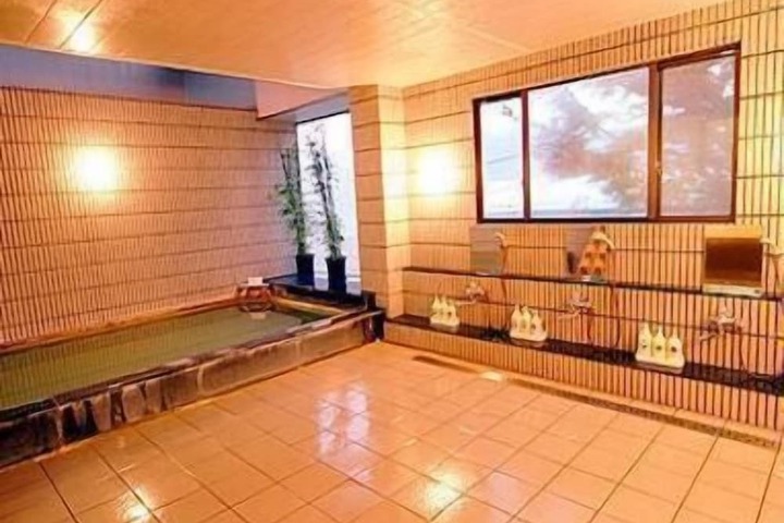 Wellness Treatments