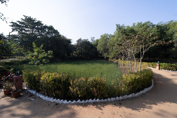 Lake