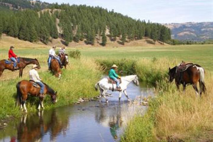 Property Grounds 18 of 20