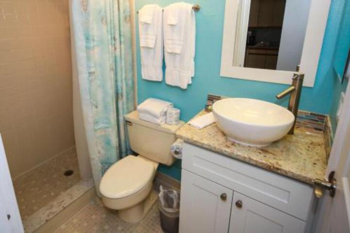 Water View Intracoastal Condo #106 in Indian Rocks Beach, FL