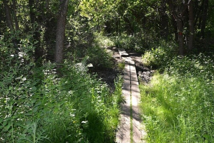 Hiking