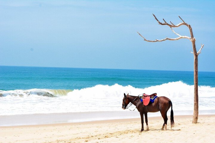 Beach 19 of 20