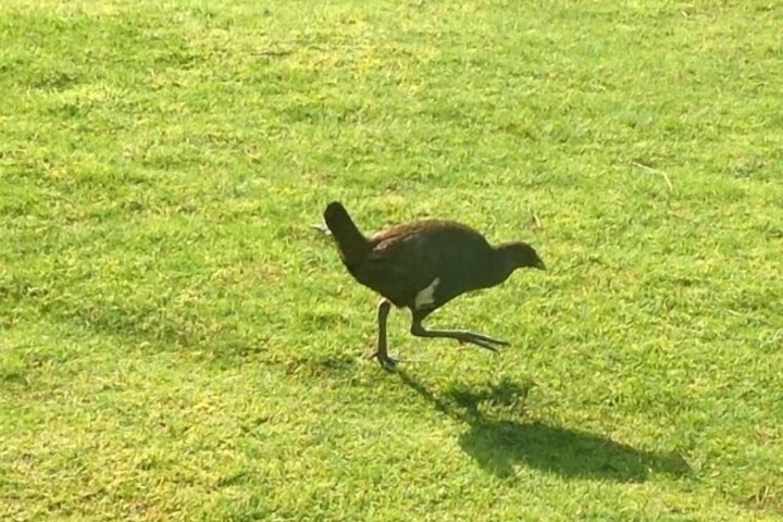 Property Grounds 14 of 23