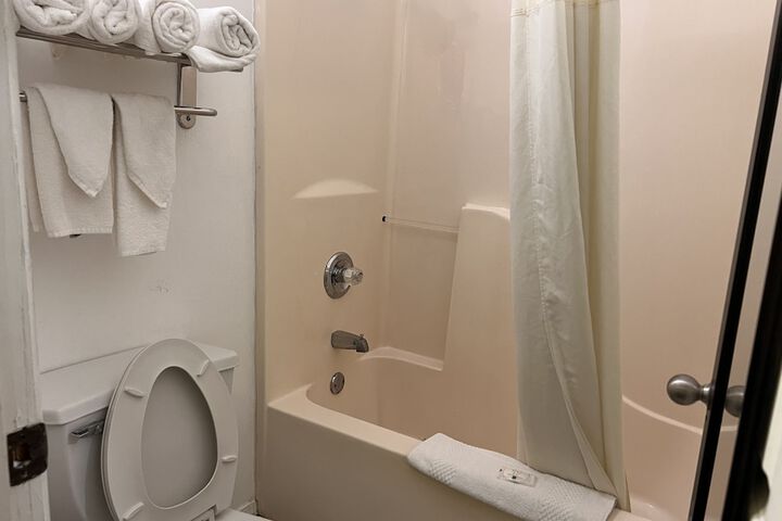 1 King Bed Mobility Accessible (10 of 12)