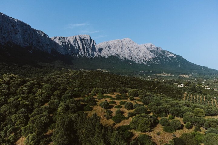 Hiking