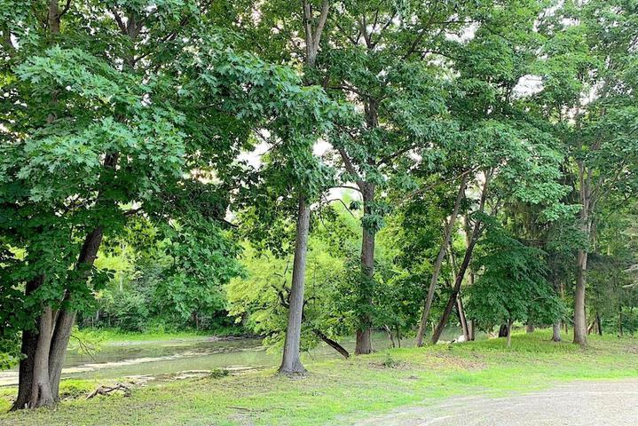Property Grounds 52 of 61