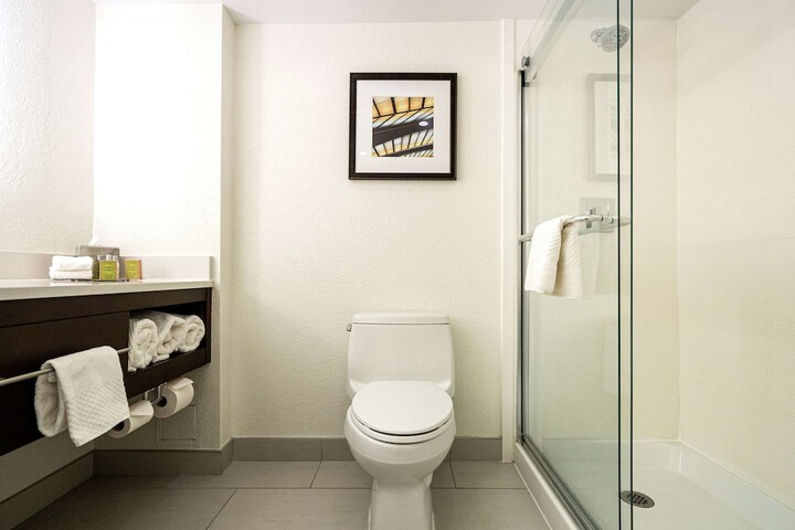 1 King Hearing Accessible with Sofa Bed (10 of 17)