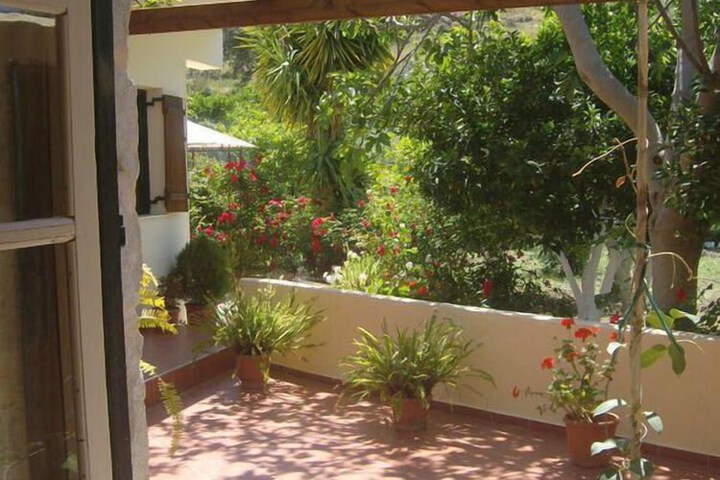 Terrace/Patio 29 of 41