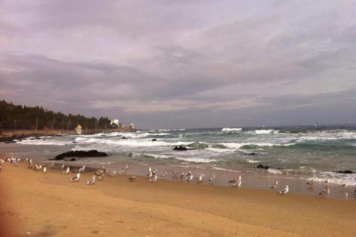 Beach 1 of 5