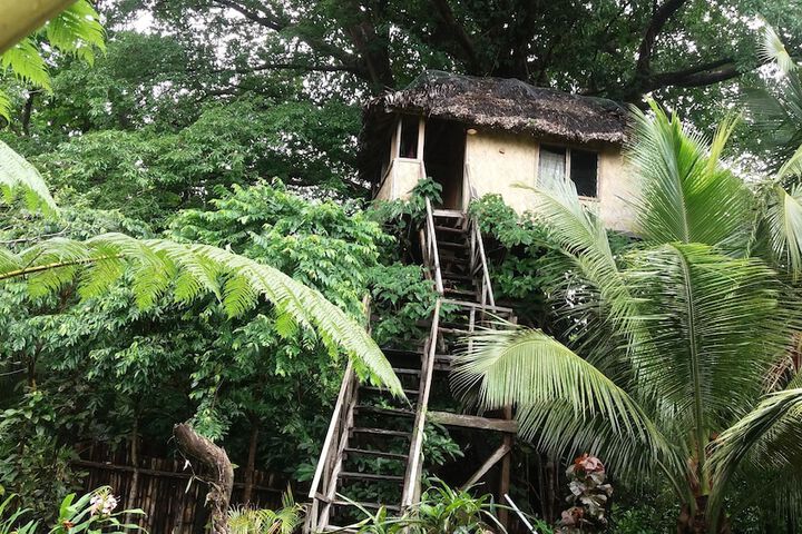 Tanna Eco Venture Bungalow in Tanna Island