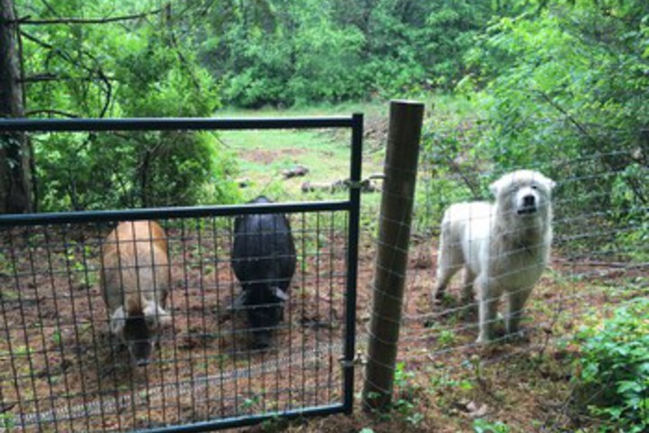 Property Grounds 7 of 22