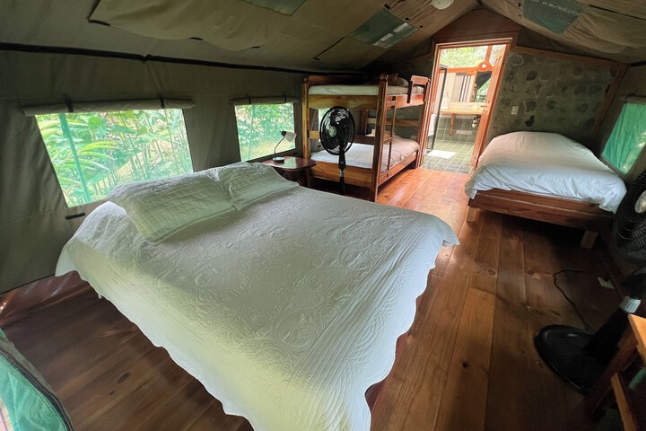 Room 5 of 19