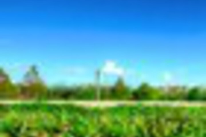 Property Grounds 74 of 87