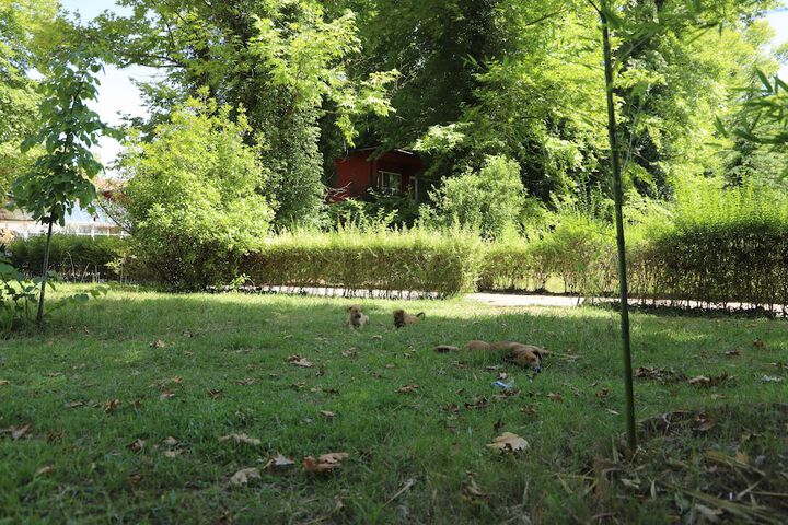 Fitness Facility Photos