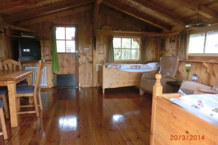 Room 3 of 57