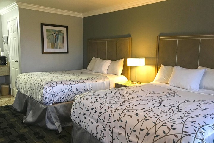 Queen Bed Accessible (23 of 45)