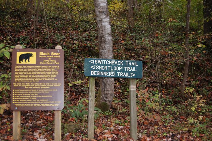 Outdoor Activities 23 of 57